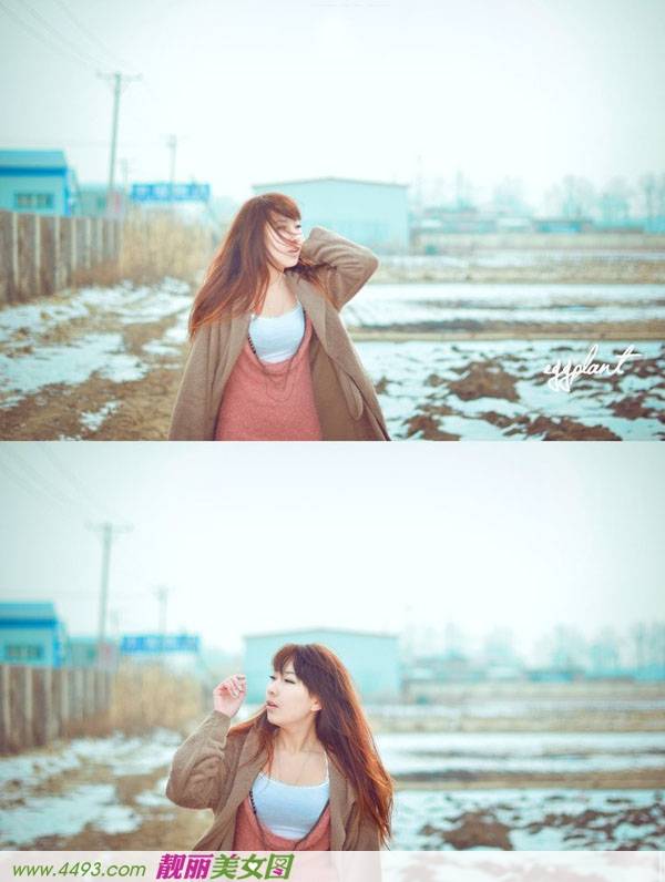 独自守候的寒冬---冬季恋歌