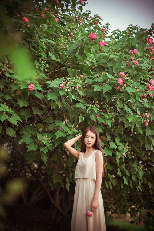 唯有你才知晓的花语-4