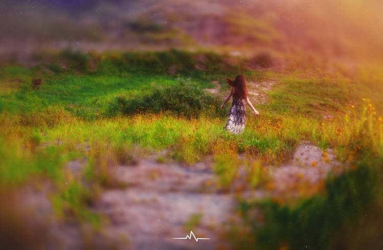 长裙少女沐浴在夏日的美梦中-4