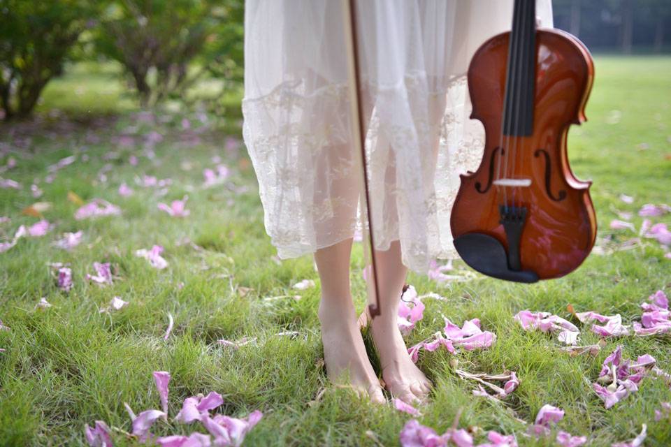 小提琴少女的花开花落-5