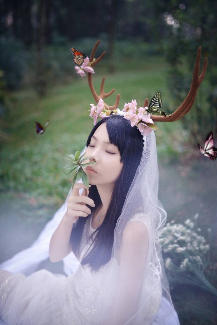 纯白小鹿姑娘的森林身影