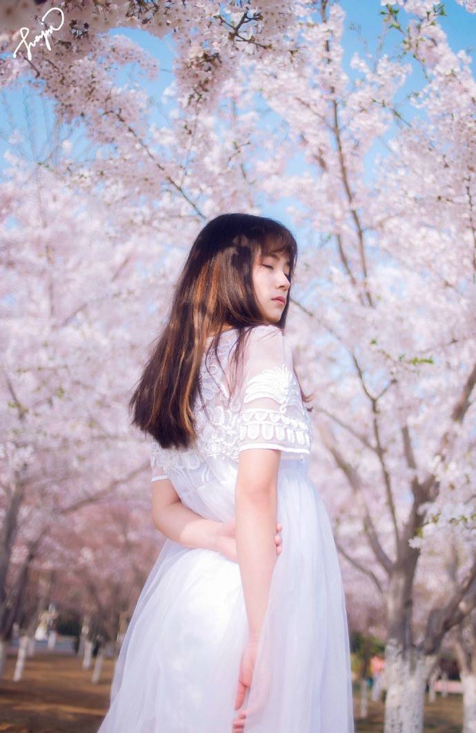 樱花下你的美丽让我心动-7