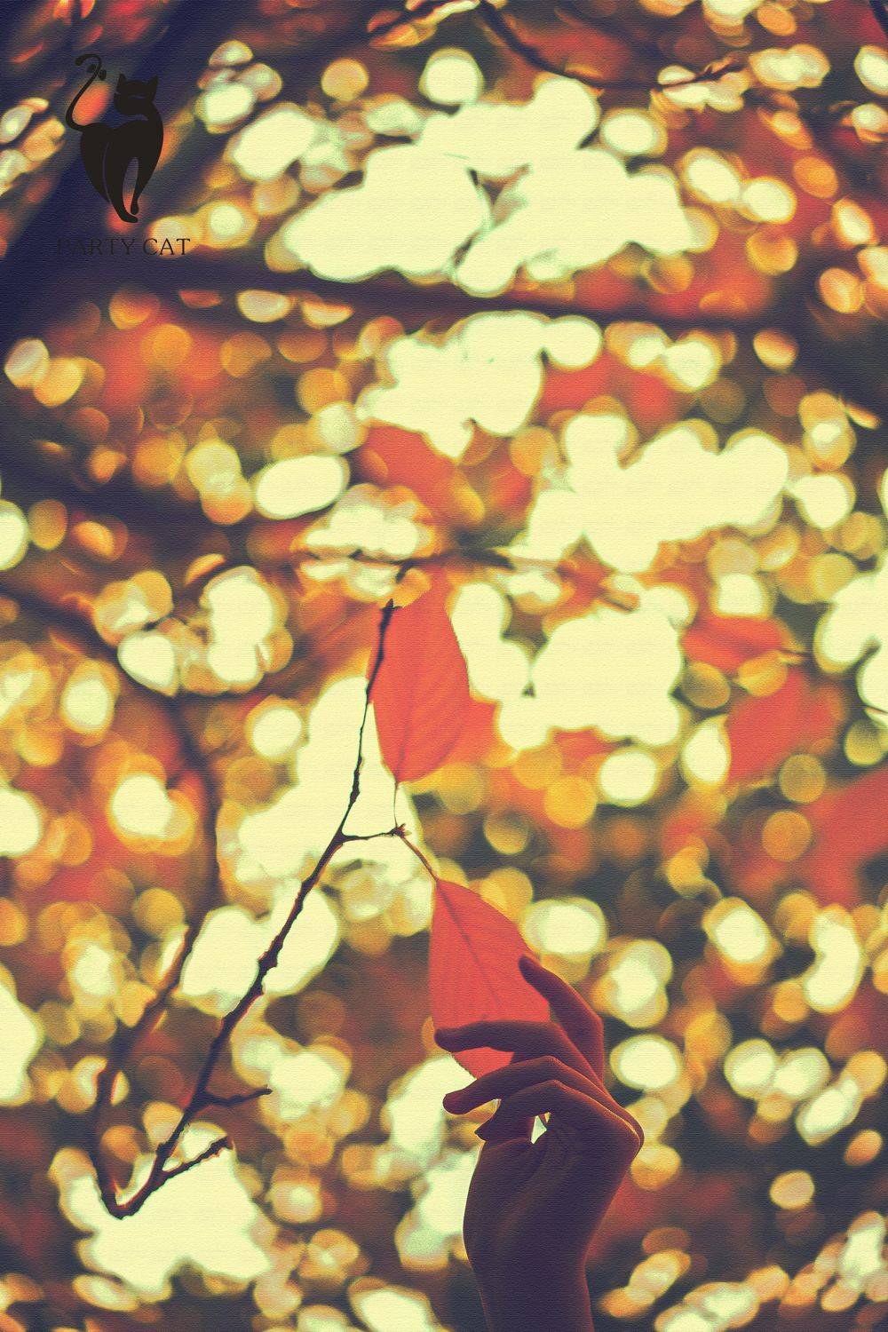 轰趴猫性感美女紫琪Jessie清纯诱惑修长美腿气质写真-5